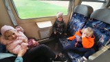 Obrázek v galerii