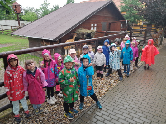 Obrázek v galerii