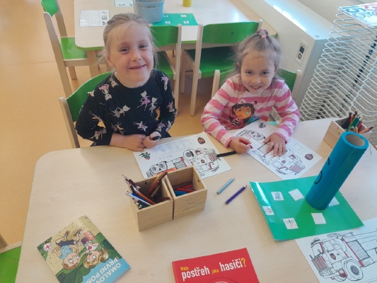 Obrázek v galerii