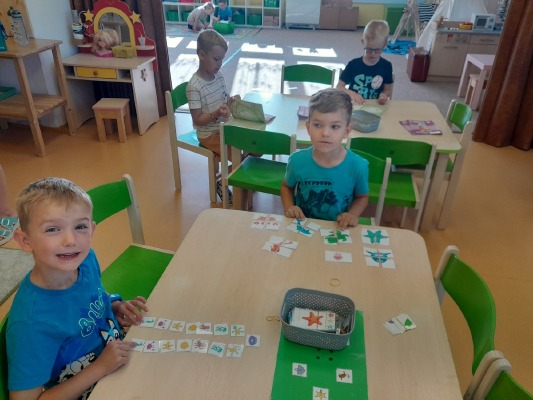 Obrázek v galerii