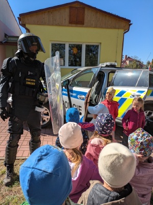 Obrázek v galerii