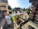 Obrázek v galerii