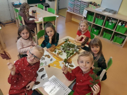 Obrázek v galerii
