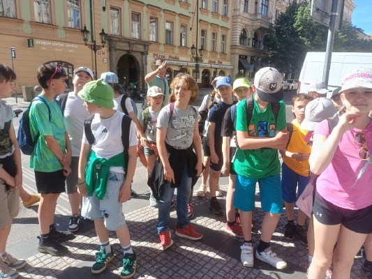 Obrázek v galerii