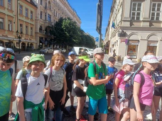 Obrázek v galerii