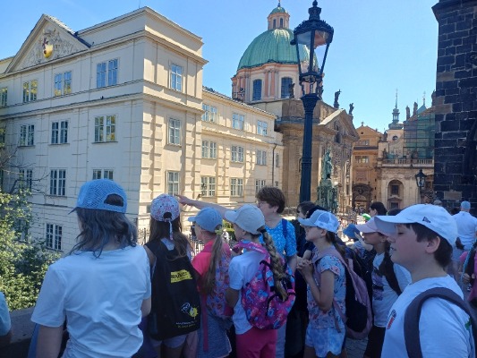 Obrázek v galerii