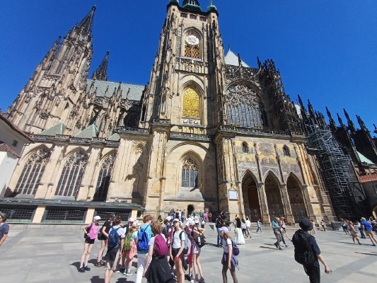 Obrázek v galerii
