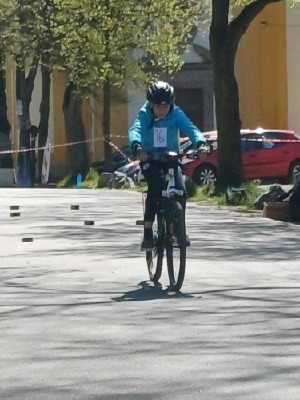 Obrázek v galerii