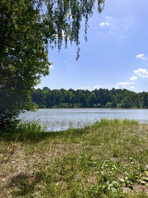 Obrázek v galerii