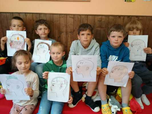 Obrázek v galerii