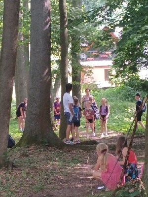 Obrázek v galerii