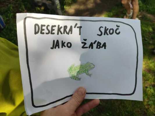 Obrázek v galerii