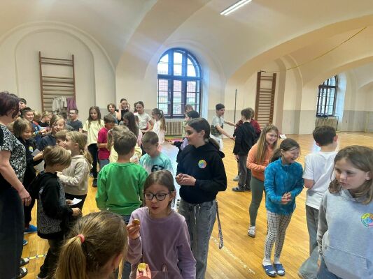 Obrázek v galerii