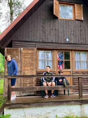 Obrázek v galerii