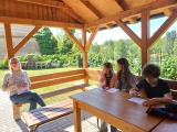 Obrázek v galerii