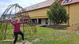 Obrázek v galerii