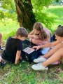 Obrázek v galerii