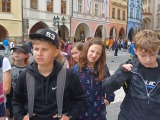 Obrázek v galerii