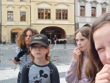 Obrázek v galerii