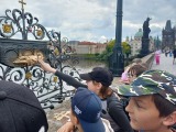 Obrázek v galerii
