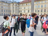 Obrázek v galerii