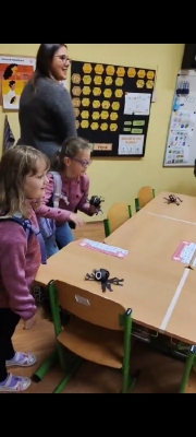 Obrázek v galerii