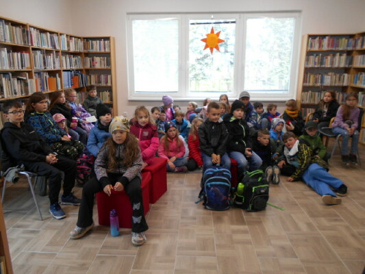 Obrázek v galerii