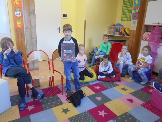 Obrázek v galerii