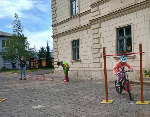 Obrázek v galerii