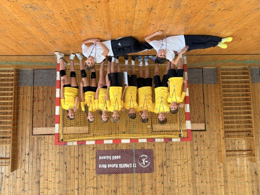 Obrázek v galerii